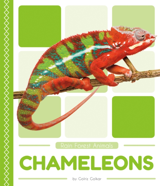 Rain Forest Animals: Chameleons, Paperback / softback Book