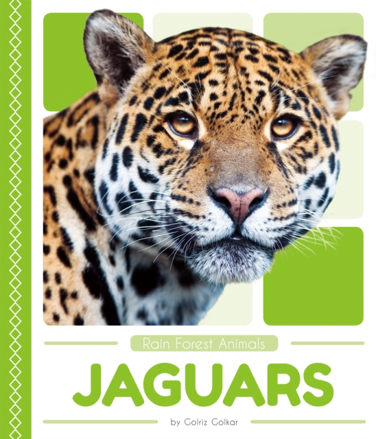 Rain Forest Animals: Jaguars, Paperback / softback Book