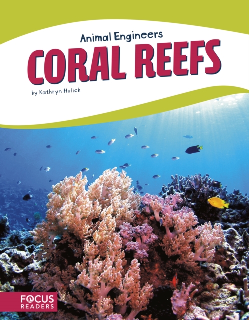 Animal Engineers: Coral Reefs, Paperback / softback Book