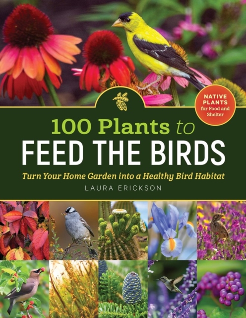 100 Plants to Feed the Birds : Turn Your Home Garden into a Healthy Bird Habitat, Paperback / softback Book