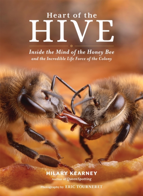Heart of the Hive : Inside the Mind of the Honey Bee and the Incredible Life Force of the Colony, Hardback Book