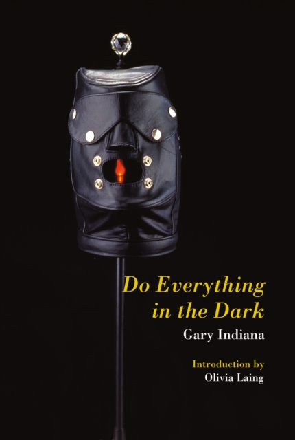 Do Everything in the Dark, EPUB eBook