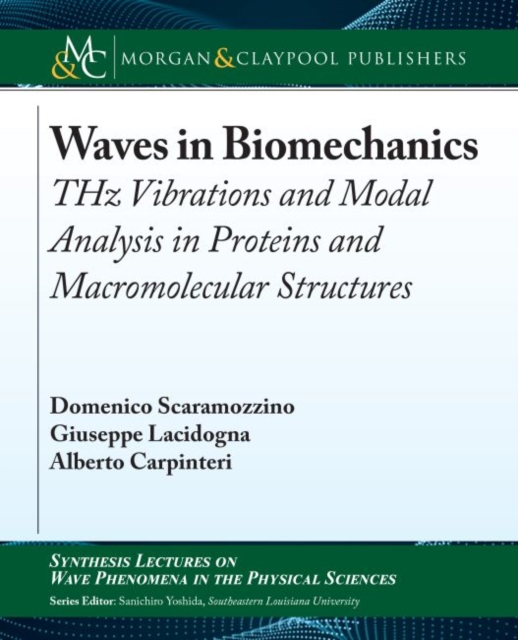 Waves in Biomechanics : THz Vibrations and Modal Analysis in Proteins and Macromolecular Structures, Paperback / softback Book