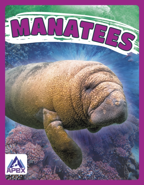 Giants of the Sea: Manatees, Hardback Book