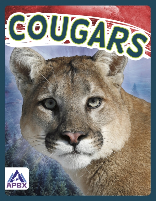 Wild Cats: Cougars, Hardback Book
