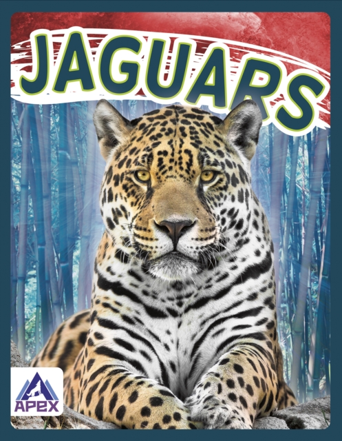 Wild Cats: Jaguars, Hardback Book
