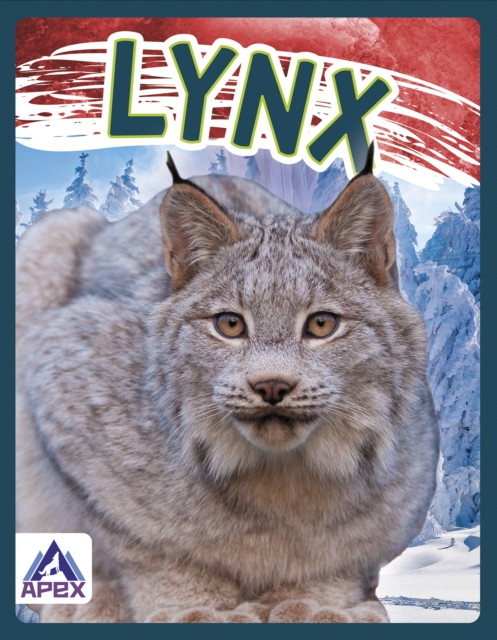 Wild Cats: Lynx, Hardback Book