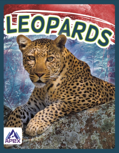 Wild Cats: Leopards, Paperback / softback Book