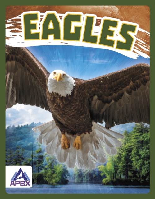 Birds of Prey: Eagles, Hardback Book