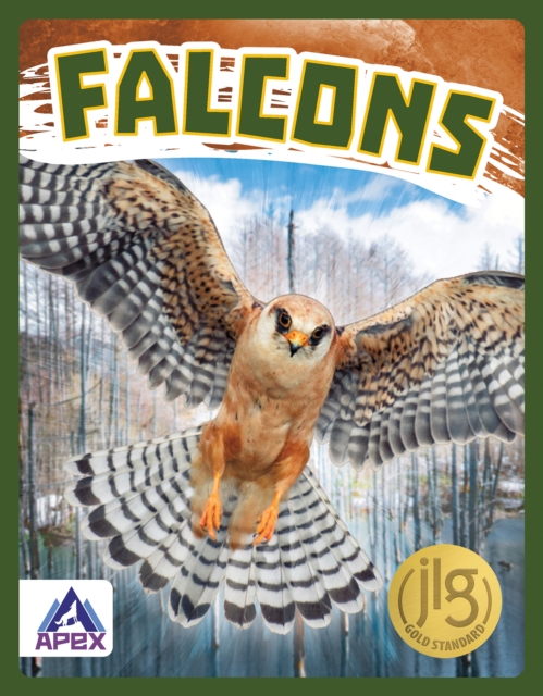 Birds of Prey: Falcons, Hardback Book