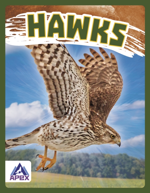 Birds of Prey: Hawk, Hardback Book