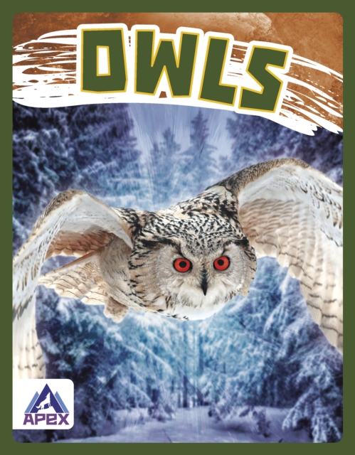 Birds of Prey: Owls, Hardback Book