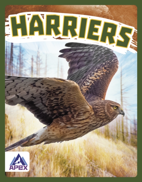 Birds of Prey: Harriers, Paperback / softback Book