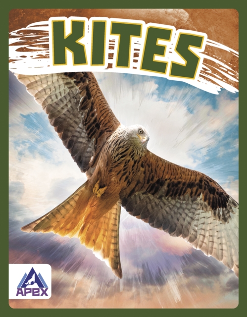 Birds of Prey: Kites, Paperback / softback Book