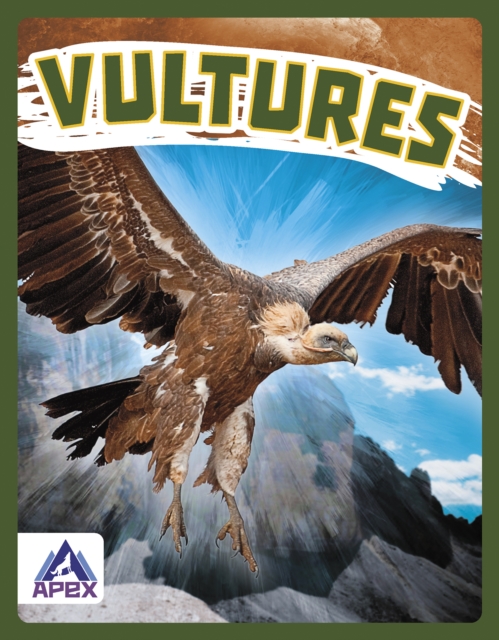 Birds of Prey: Vultures, Paperback / softback Book