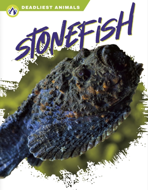 Deadliest Animals: Stonefish, Hardback Book