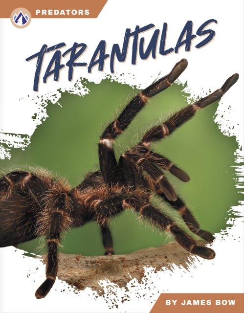 Predators: Tarantulas, Hardback Book