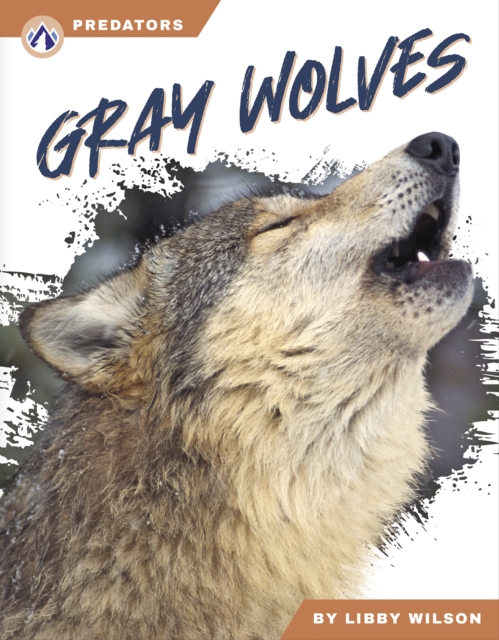 Predators: Gray Wolves, Paperback / softback Book