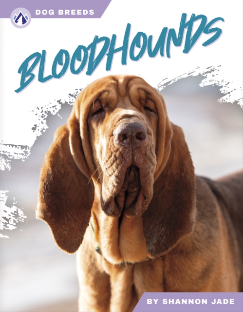 Dog Breeds: Bloodhounds, Hardback Book