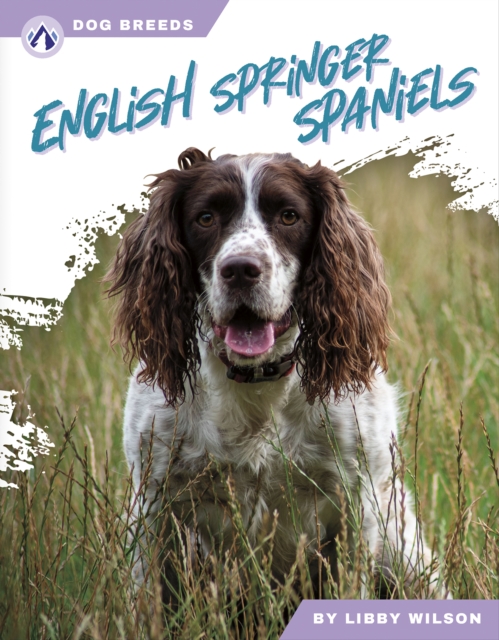 Dog Breeds: English Springer Spaniels, Hardback Book