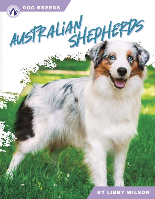 Australian Shepherds, Paperback / softback Book