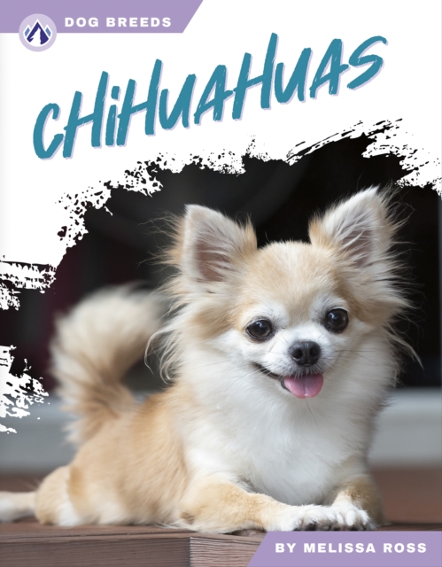 Chihuahuas, Paperback / softback Book