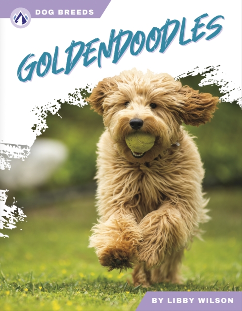 Goldendoodles, Paperback / softback Book