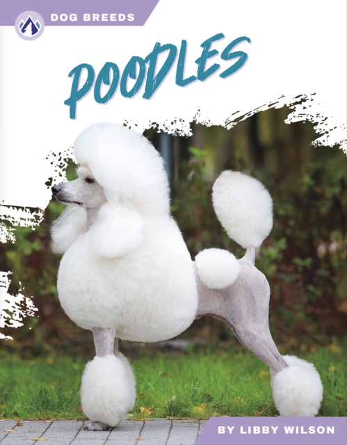 Poodles, Paperback / softback Book