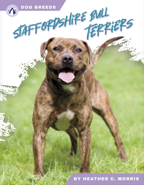 Dog Breeds: Stafforshire Bull Terriers, Paperback / softback Book