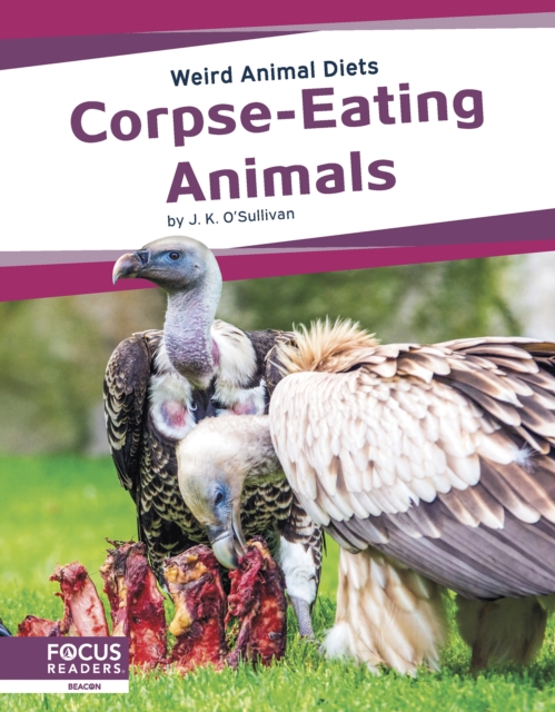 Weird Animal Diets: Corpse-Eating Animals, Paperback / softback Book