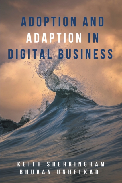 Adoption and Adaption in Digital Business, Paperback / softback Book