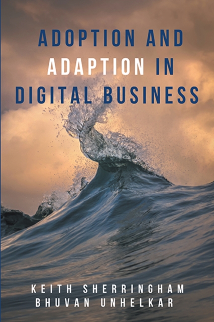 Adoption and Adaption in Digital Business, EPUB eBook