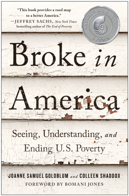 Broke in America : Seeing, Understanding, and Ending US Poverty, Paperback / softback Book