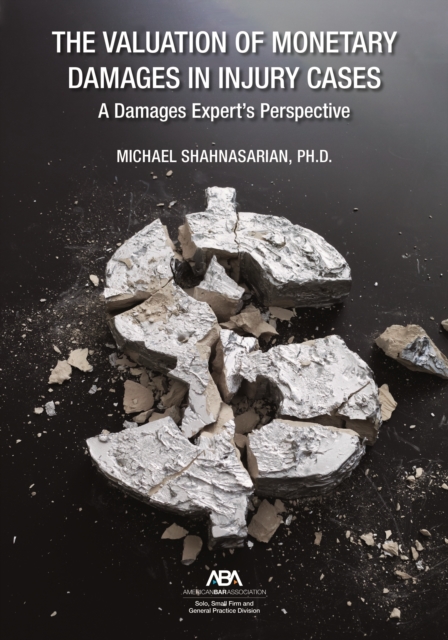 The Valuation of Monetary Damages in Injury Cases : A Damages Expert's Perspective, EPUB eBook