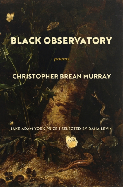 Black Observatory : Poems, Paperback / softback Book