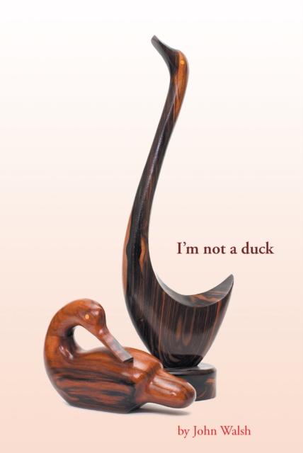 I'm not a duck, EPUB eBook