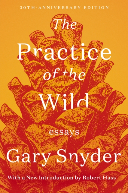 The Practice Of The Wild : Essays, Paperback / softback Book