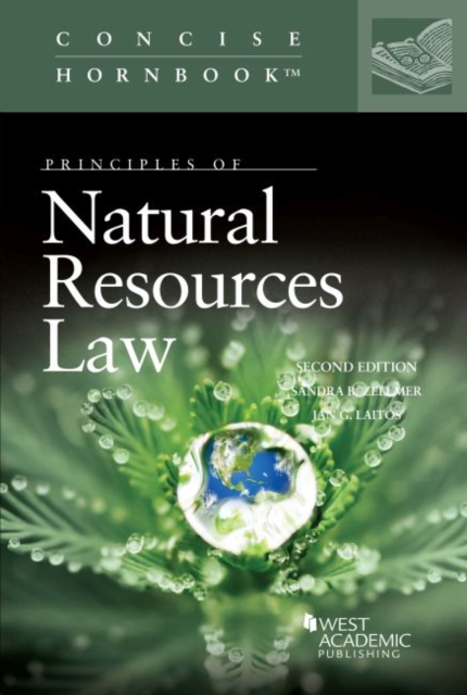 Principles of Natural Resources Law, Paperback / softback Book