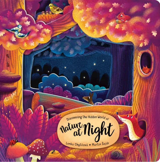 Discovering the Hidden World of Nature at Night, Board book Book