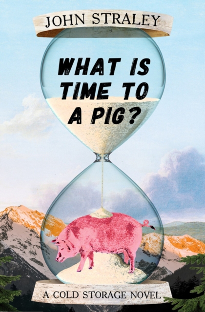 What Is Time To A Pig?, Hardback Book