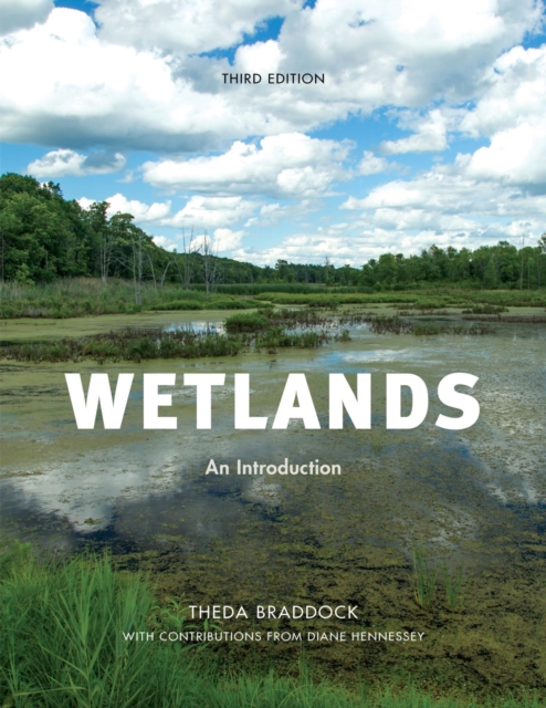 Wetlands : An Introduction, EPUB eBook
