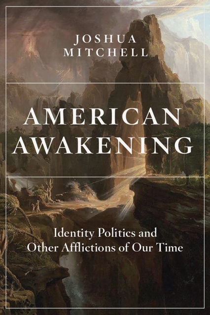 American Awakening : Identity Politics and Other Afflictions of Our Time, EPUB eBook