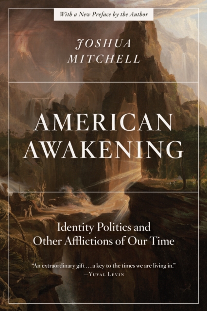 American Awakening : Identity Politics and Other Afflictions of Our Time, Paperback / softback Book