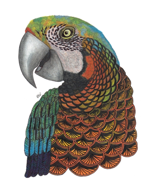TangleEasy Lined Journal Parrot, Diary Book