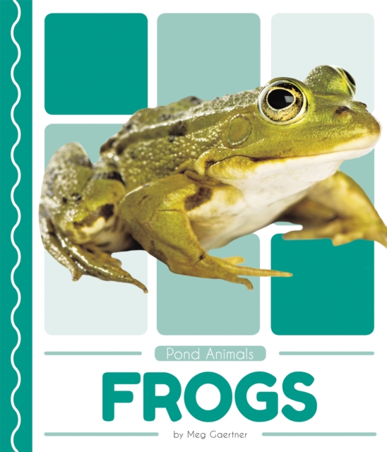 Pond Animals: Frogs, Paperback / softback Book