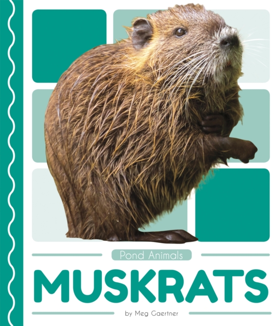 Pond Animals: Muskrats, Paperback / softback Book