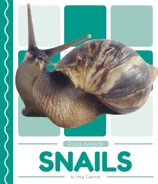 Pond Animals: Snails, Paperback / softback Book