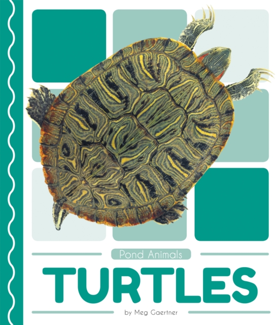 Pond Animals: Turtles, Paperback / softback Book
