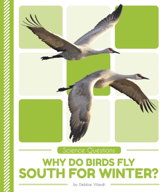 Science Questions: Why Do Birds Fly South for Winter?, Paperback / softback Book