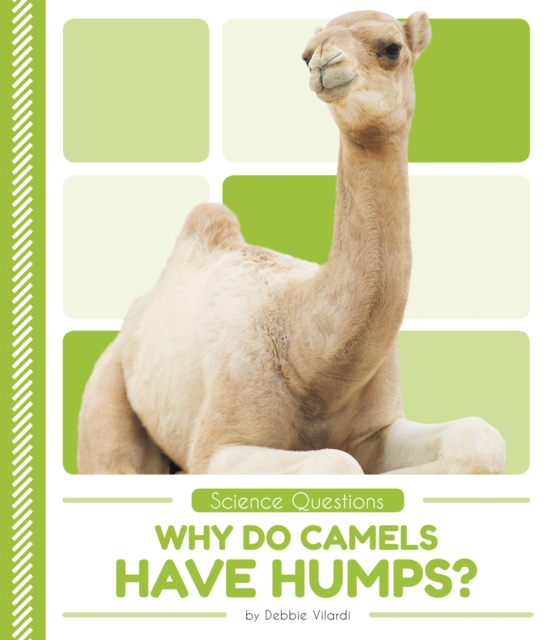 Science Questions: Why Do Camels Have Humps?, Paperback / softback Book